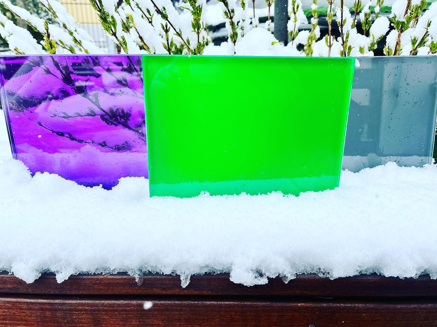 Ab sofort bei uns erhältlich 🥳
Glaselemente von @knumox 😍
Hier seht ihr Farbbeispiele in lila grün und grau
Bald könnt ihr die kompletten Elemente bei uns vor Ort finden
#garteninspiration #gartengestaltung #gartenplanung #gartenideen #glasimgarten #sichtschutz #farbe #farbeimgarten