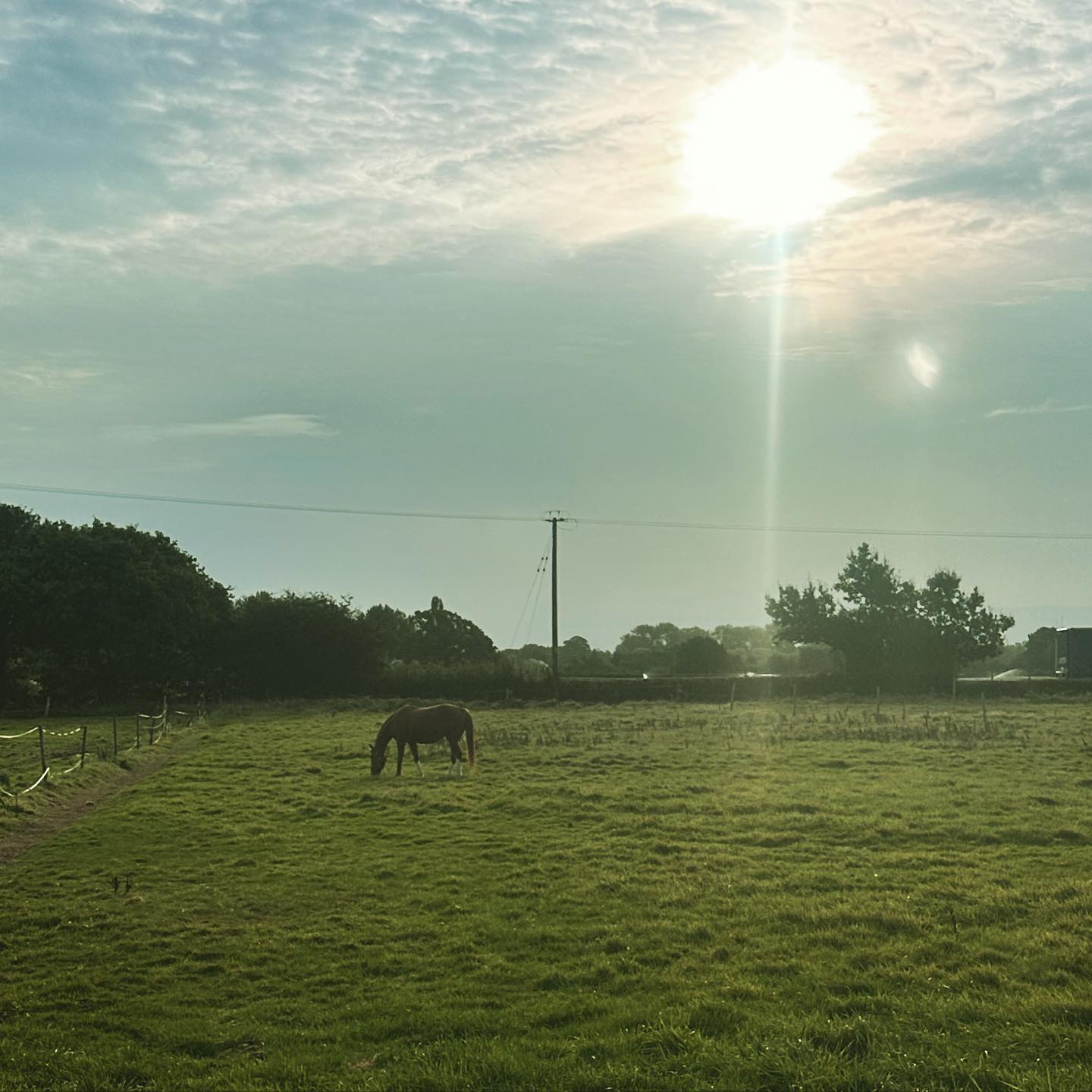 What a beautiful morning! Have an amazing day people 😘 #horselinx #morning #sunrise #beautiful #horse