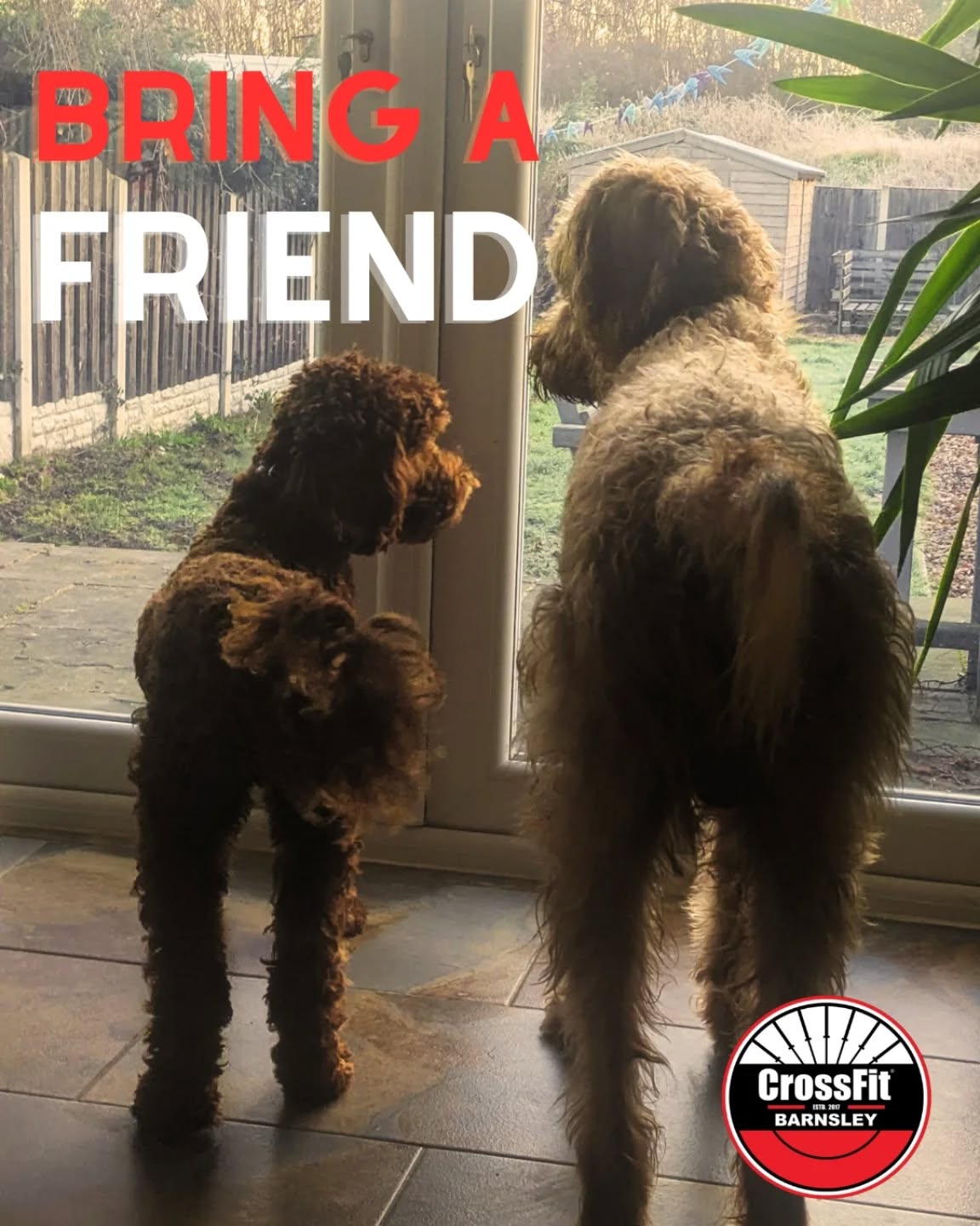 Friends that train together stay together 🫶🏽
Has your mate been banging on about getting fitter and stronger but has done jack sh*t about it?
Well now's the time for them to get big time massive but with you by their side 💪🏽
Bring your mate to any number of sessions throughout February for free 👯♀️
Share and DM us to get signed up 😎
#crossfitbarnsley #bringafriend #february #gymfwends