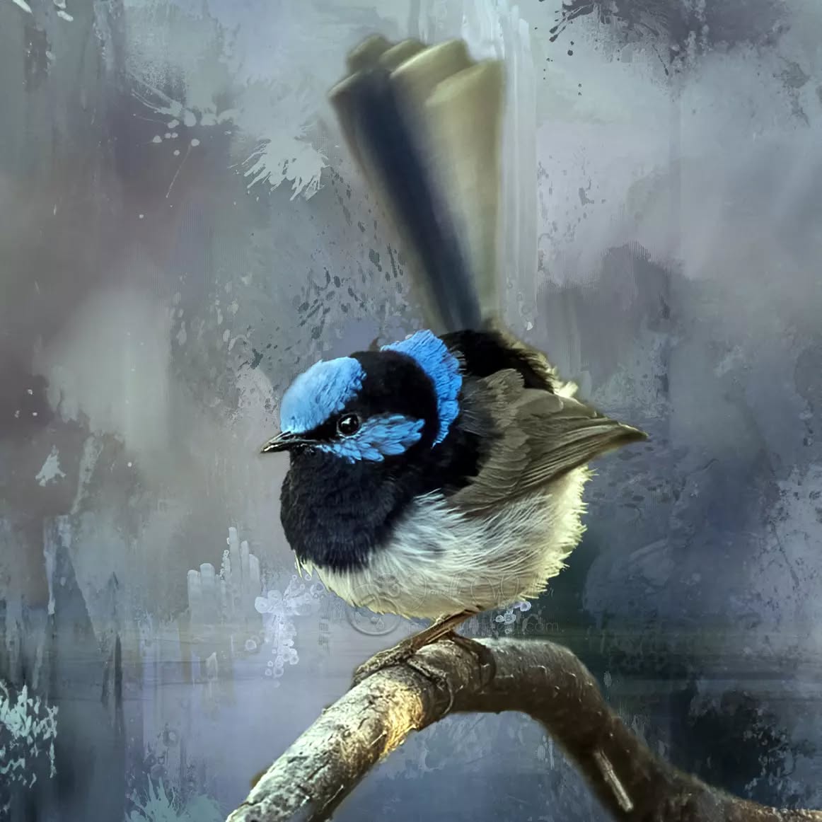 Life is not measured by the amount of breaths we take, but by the moments that take our breath away.
.
.
.
.
.
.
.
.
.
.
.
.
.
.
.
.
#Fairywren #wrensday #pixelpurrrfectphotography #exquisitepics20_australia #rebel_artandedits #mcl_arts #illustrious_art #artistry_flair #super_photoeditz #edit_lovers_united #wildlife_artistry #birdsofaustralia #Creative_AnimalArt #bpa_arts #photo_creation_silver #rebels_nature #rebels_united #explore_wildlife #wonderland_arts #art_andfact #galleria_of_grace #illustrious_magic #dreamland_arts_of_nature #rawedit_ #exquisitepics20_animals
#australianbirds #wildlife_artists #everything_animals #nature_perfection #everything_imaginable