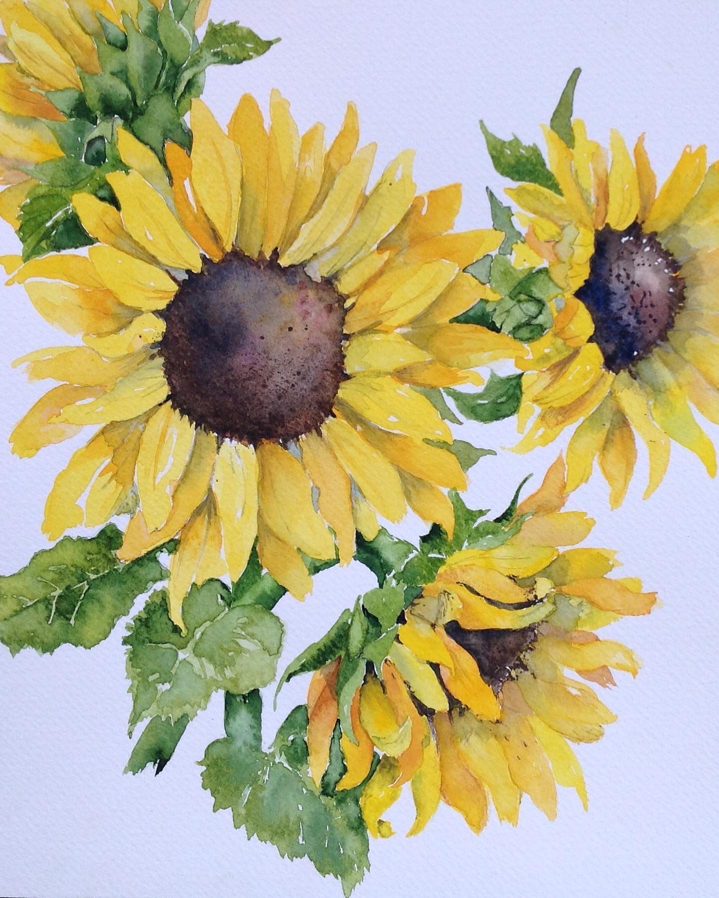 Thanks to all the lovely visitors who came to see me at Open Studios today. I’m open again tomorrow, do come and drop in for a browse and chat #harboroughartistscluster #openstudios #harboroughartists #painting #drawing