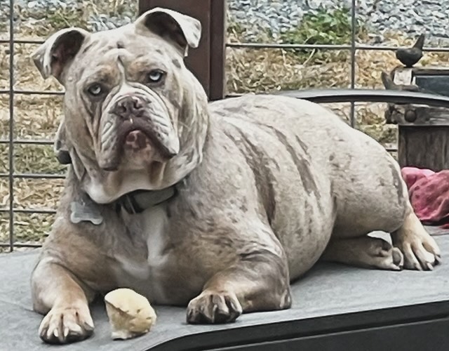 Happy Birthday Lyla Blu!๐