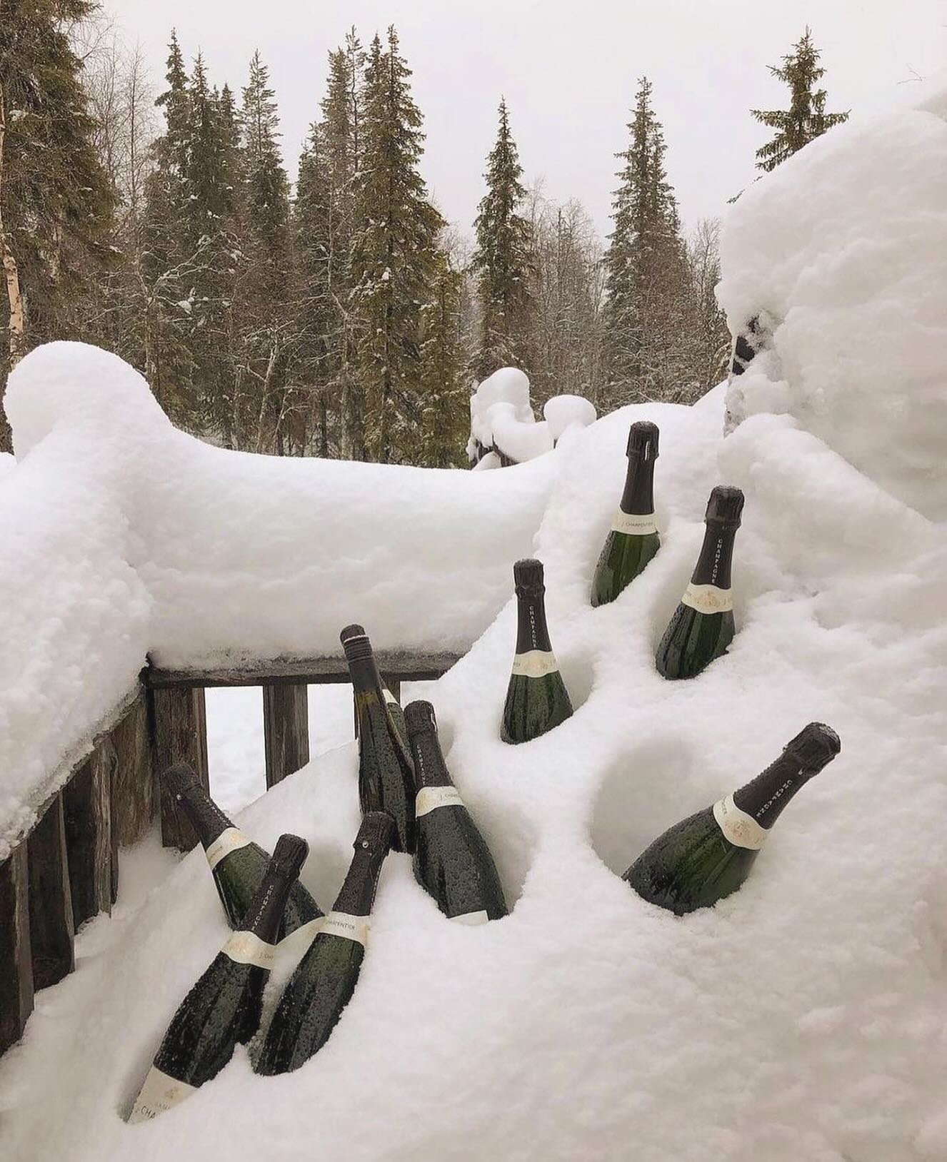 Our perfect snowed-in scenario ❄️🍾 Hope everyone has a safe a cozy snow day!