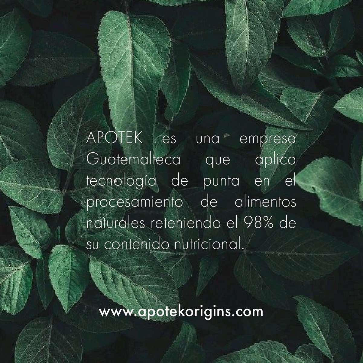 Apotek Origins
