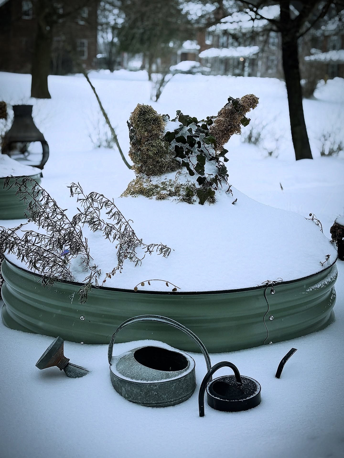 Snow makes the garden sing a bird song.