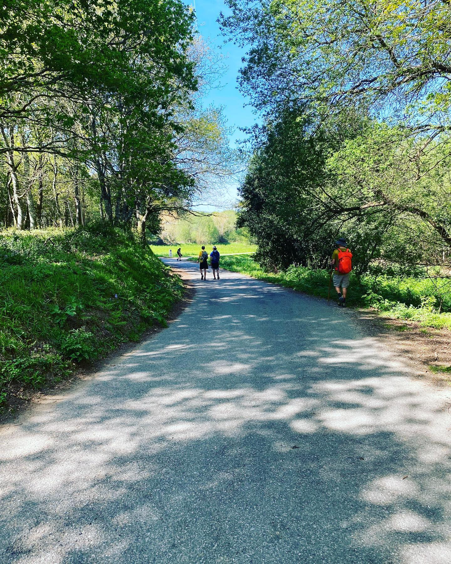 Sur les Chemins de Saint Jacques : un bon test pour Cica Concentré de Ianthis @ianthislab qui nous a bien aidé avec nos petits bobos. Piqures d’insectes et surtout frottements aux pieds #santiagodecompostela #stjacques