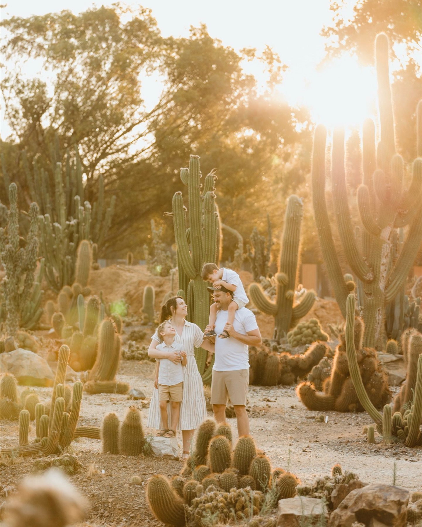 Last week at @cactuscountry I had the absolute honour of photographing Beth and her beautiful family.
Beth reached out and told me she wanted me as her photographer and honestly, hearing that never gets old. It’s the kind of message that makes you pause, feel grateful, and also feel that little pressure of wanting to do their story justice. I really hope I did 🤍
We started the session under unexpected rain and full overcast skies. Soft, calm, slow. And just as we were packing up, the sun came out of nowhere and wrapped the garden in the most beautiful golden glow. So naturally, we headed back in for another 15 minutes, because moments like that don’t ask twice.
This is why I love what I do. Not just for the photos, but for the trust, the connection, and the magic that shows up when you least expect it ✨