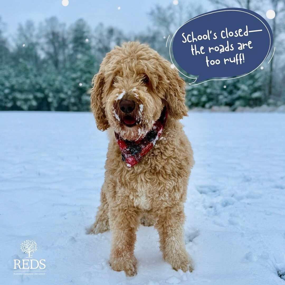 Teddy, our school dog, is here to report that REDS will be closed tomorrow, January 27th☃️