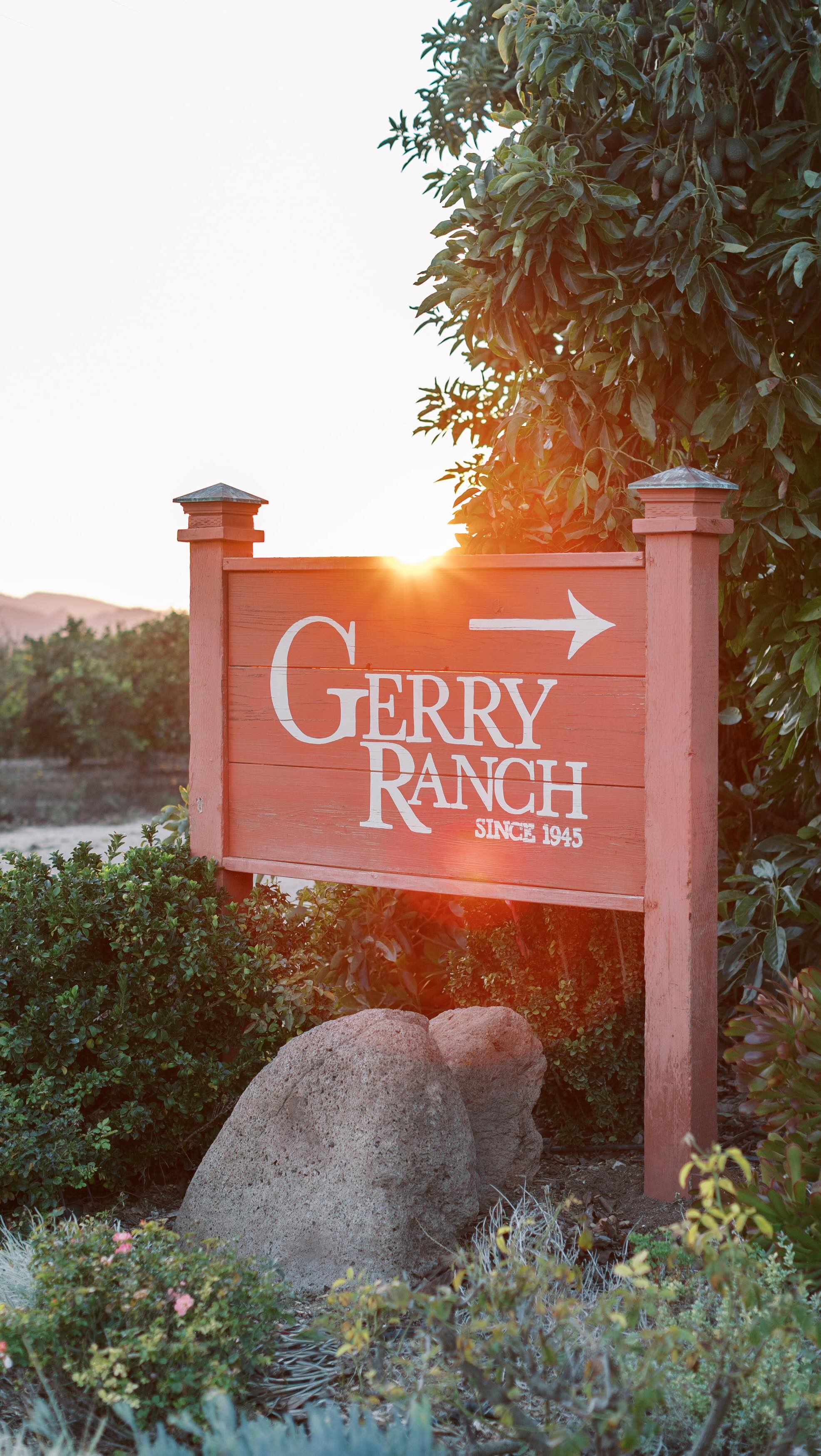 In honor of his birthday on February 1st, here is Farmer Ken Core. Enjoy.
Cover photo by @lisaleannephotography
( fyppp, California farms, blueberry u pick, things to do in Ventura county, SoCal living, visit Camarillo, humor, funny videos )
