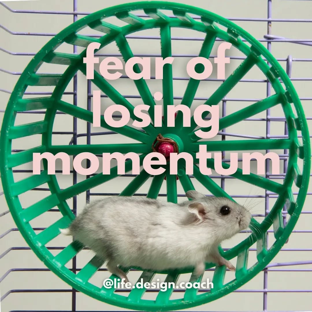 I've been on my hamster wheel for the last couple of months (years? My whole life maybe!) And it hasn't necessarily felt like a slog, it feels like it's been working for me. I've kept moving (working, training, to-do list eradicating) and things have kept going, getting done and progressing. And I've not wanted to step off, or slow down or break. But why, when I know all those things are good for me? I've kept up running early in the morning, even when it's dark, raining and I've barely had time. I've continued to work in the evening and weekends, even when I've got other things I want to be doing.
I realise I have a fear of losing momentum. If you lose pace in what you are doing, not only does it take more effort to start up again, but also you potentially lose the will to want to start going again. I have a belief attached (everyone does at the core of their fear) - breaking or pausing will mean you are less likely to continue. It's not always true of course (my belief ensured I put the word 'always' in there). But I've been tested and proved wrong - as I've been hit by a nasty cold, and I've had to slow down, now not be my own choice. It is definitely harder to start again after stopping from illness. Because with this forced break you've lost fitness, mental agility, you are coming back after slight damage. Again that still doesn't mean you won't continue, but it'll be even harder than if you choose to rest in the first place. Because you can't keep moving, at speed, forever - it's physically impossible, eventually you'll tire.
And it's stress that keeps us on the wheel. It makes you think you have to keep going even when sometimes you aren't sure where you are going or why. Keeping moving is the only way to get through it. Stress making us do things (any kind of action) to feel in control. Do the thing, do more things, do anything!! And stress not allowing us to get off even when it's the only way to actually alleviate it. It was stress convincing me it was working for me, stress making me fear losing momentum. And stress likely to have contributed to me getting ill.
So choose yourself when to slow down, before life and physics chooses for you.