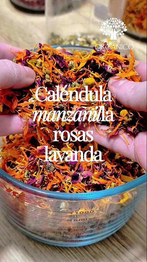 Granos de Limpieza Facial 🌼🪻🌹💮
Un exfoliante suave, hecho con flores reales, polvos vegetales y arcillas que limpian la piel sin agredirla.
Caléndula, manzanilla, rosas y lavanda se combinan con coco, almendra y arroz para ayudar a retirar células muertas, dejar la piel más suave y luminosa, y mantener su equilibrio natural 🤍
Su aroma es delicado y envolvente, gracias a los aceites esenciales de geranio, ylang ylang, jazmín y lavanda… perfecto para convertir la limpieza diaria en un momento de calma ✨
Ideal para quienes buscan una limpieza consciente, efectiva y respetuosa con la piel 🌿
Hecho con amor, como todo en Espíritu Orgánico 🤍
#cleansinggrains #limpiezafacial #exfoliación #organico #natural #cosmeticanatural #ecoamigable #cuidadofacial
#lavanda #rosas #calendula #manzanilla