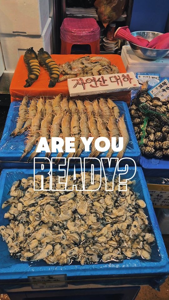 Noryangjin Fish Market is a must-visit, but don't just walk in blindly! 🐟
Here is the honest guide from a local expert.
It’s the biggest seafood experience in Seoul, but you need to know these 3 things:
1️⃣ Compare before you buy 🦀
Don't settle for the first stall. Prices are mostly standardized, but the freshness and 'service' (extra treats) vary. Walk around first!
2️⃣ The "Cooking Fee" system 🥘
Bought your fish? Now you take it to a restaurant upstairs. Be aware: they charge per person + cooking fees for grilling or stewing. It can add up quickly!
3️⃣ Live Octopus & King Crab 🐙
Yes, you can eat it live. Yes, it’s safe. But if you’re not into it, try the fried seafood snacks on the 2nd floor—they are a hidden highlight.
✨ Pro Tip: If you want the best price, visit late at night or early morning when the auctions happen. But for lunch/dinner, just enjoy the vibe!
Have you tried Live Octopus before? Love it or scared? 👇