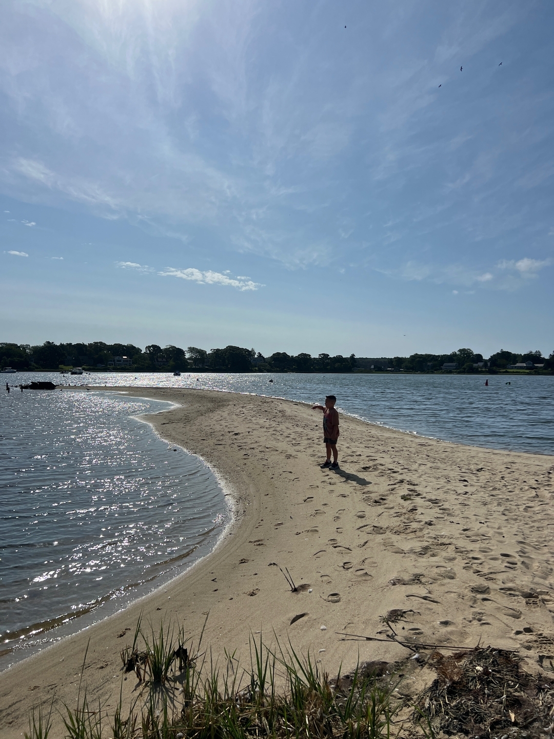 #marthasvineyard #mvy #islandlife #winter