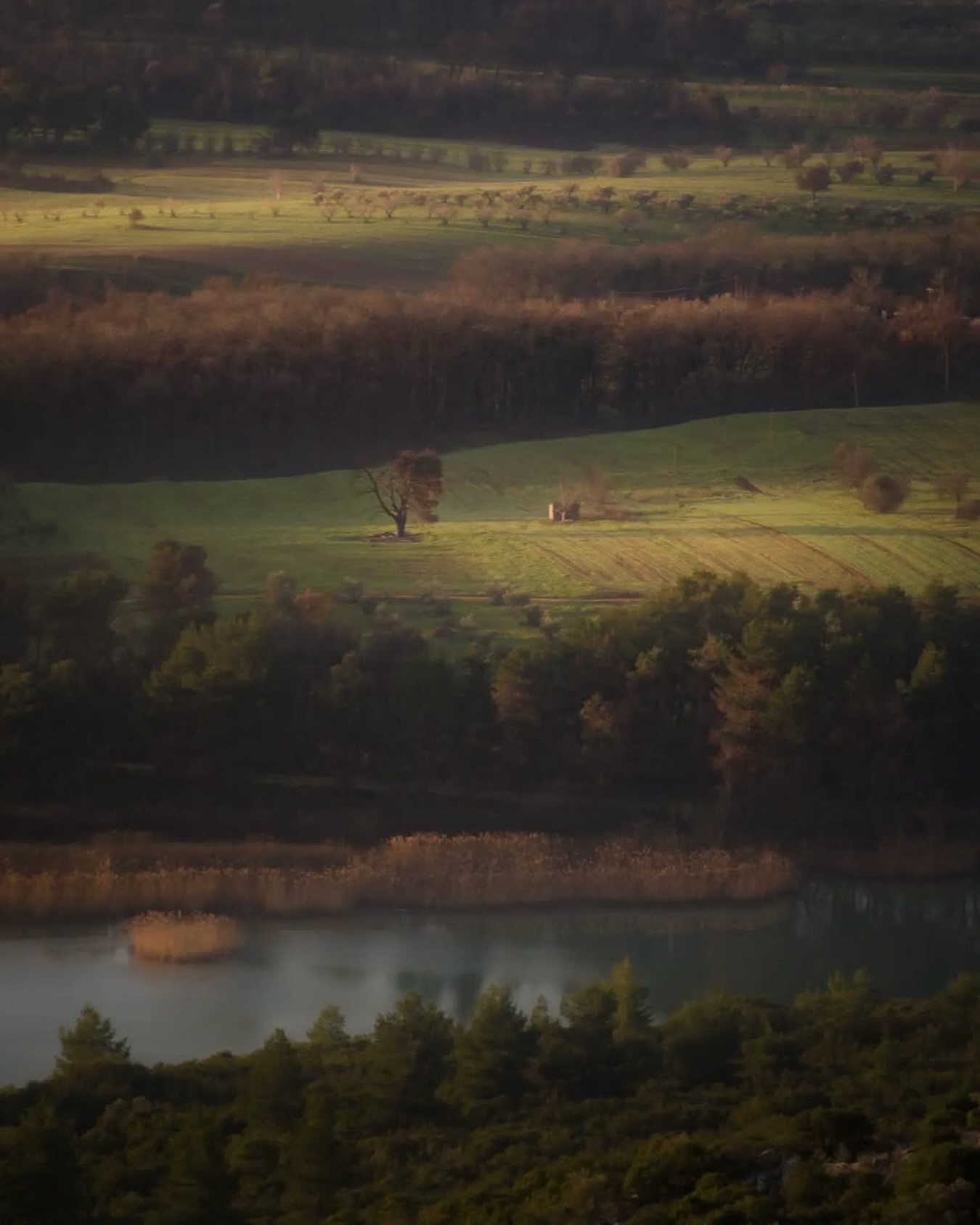 🤍
• @jonas.thom_ #welovemarathon
.
.
.
#marathon #marathonas #greece #grecja