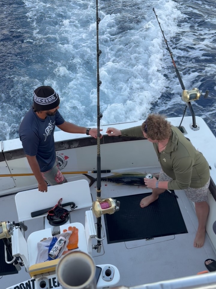 They came to us itching for redemption. After a charter on Oสปahu that came back empty-handed, they put their faith in the waters of the Pacific with us. Kauaสปi delivered.
Cooler maxed out. Tuna loaded. Faith officially restored.
And as per usual, the ceremonial tuna heart bite (eating) was proudly performed by @patrickcmcclurg โ tradition upheld, fish gods satisfied.
If youโre looking to turn a slow trip into a fish story worth telling, you know who to call.
๐ Book your trip: +1 (808) 652-4556
๐ gofishkauai.com
Hashtags:
#gofishkauai #kauaifishing #hawaiifishing #pacifictuna #tunafishing #sportfishing #deepseafishing #offshorefishing #islandfishing #bucketlistfishing #tightlines #fishkauai