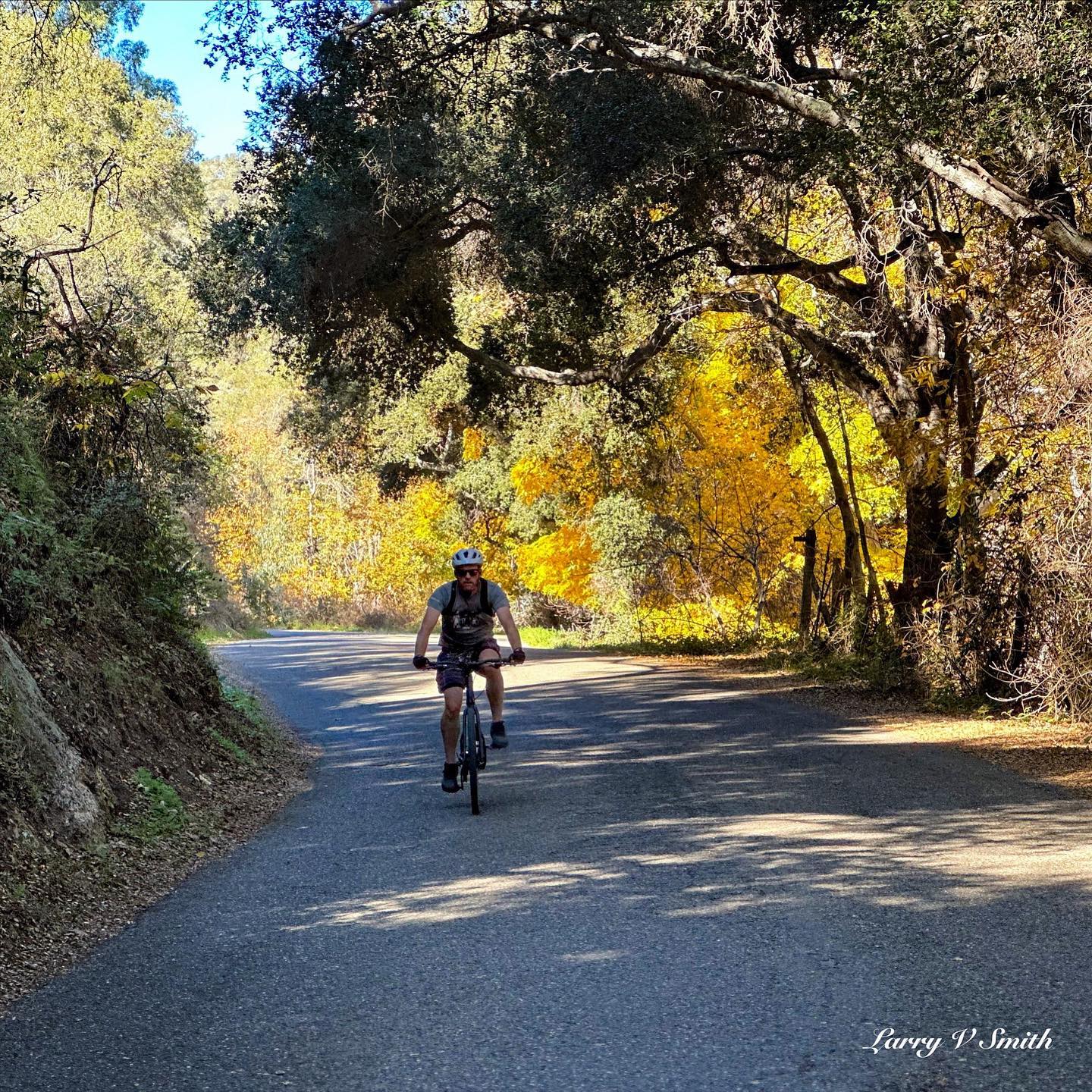 See Canyon Road is popular for biking. The Bob Jones Trail is also a great place for biking, hiking or a casual stroll. It is only 3 miles away from the cabin. San Luis Obispo city and county are made for biking and multiple outdoor sports. There are literally hundreds of miles available.