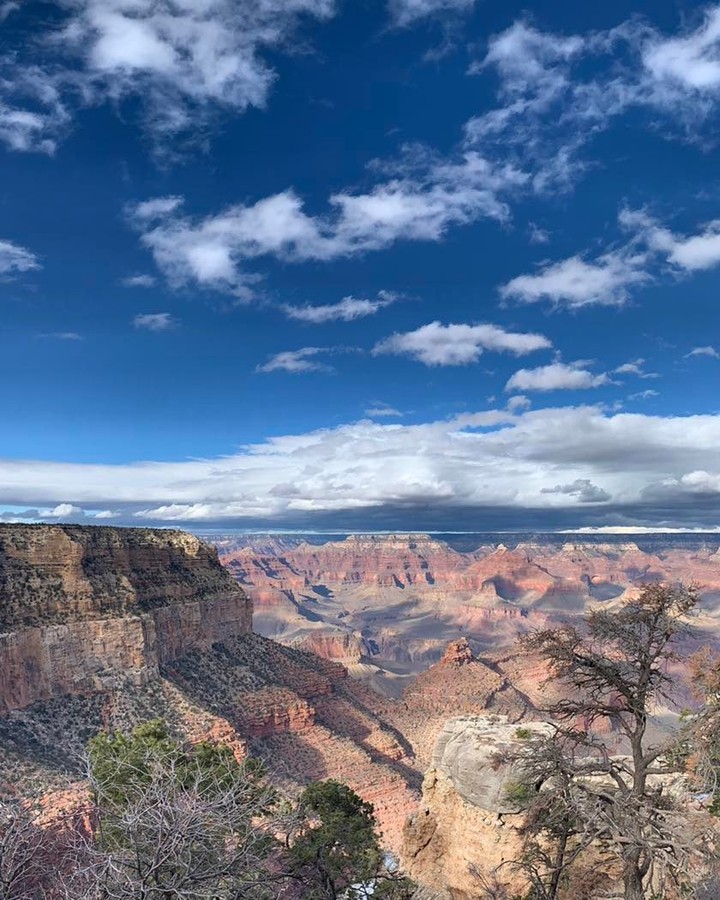 Let your pain push you into a promise. Thanksgiving and praise are the keys to the courts (presence) of God; open your mouth! The power of life and death is in your wordāwhat are you agreeing with? The enemy understands the power of Matthew 18.19āso be careful what you agree with. #pain #promise