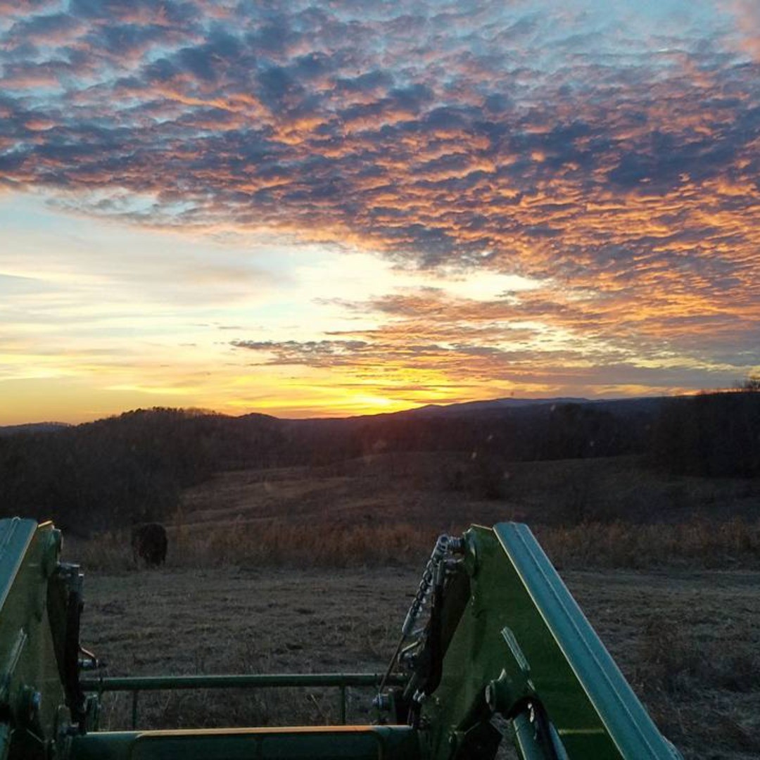 We have beautiful views for our boarders and day-riders even in winter. Open every day. #sunset #sunsetinalabama #beautifulride #horseboarding #horseboardinginalabama
#ridingtrails