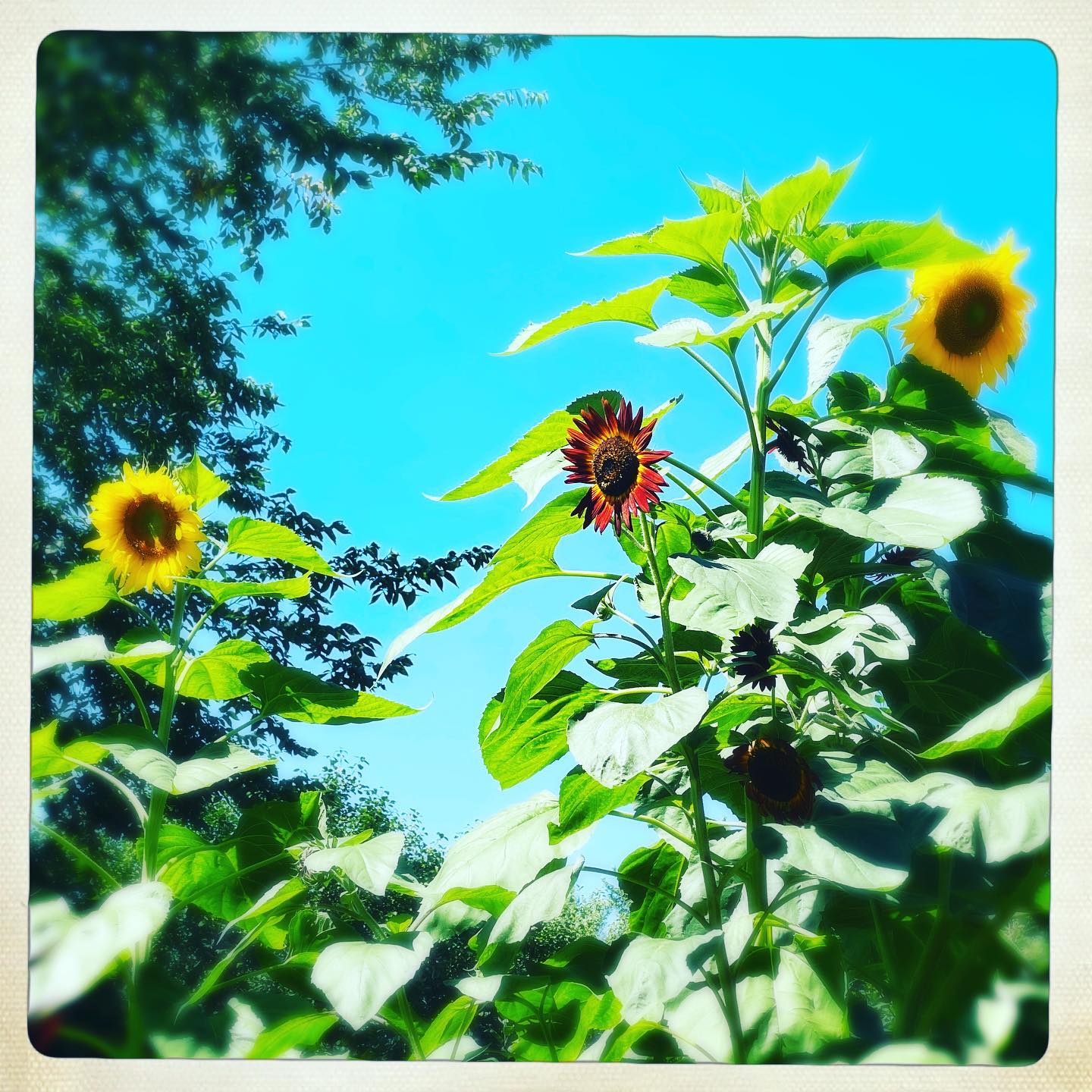 Congratulations @learncharters on your 20th Anniversary and thank you for the invite to lead a meditation for your ALL STAFF kick off event
#deepbreaths #pause #practiceawareness