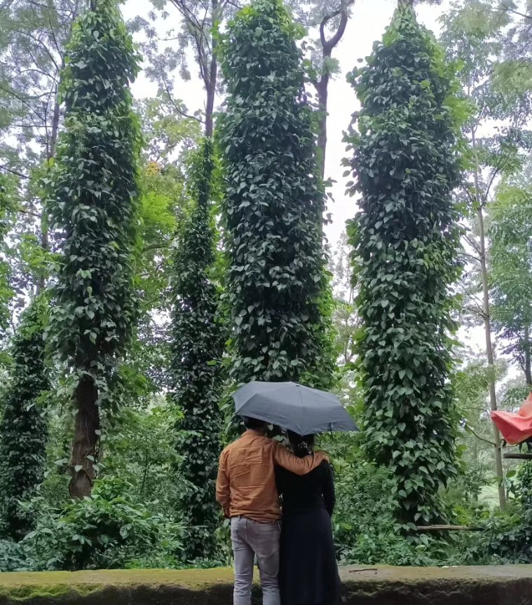 Not all days are great.
Not every day where you can put in your best to take you through what the day beholds.
Some mornings are quiet - the kind that do not wish to turn into cheer. On those days, it's difficult to pull through.
And it's okay. Okay to Not pull through.
Okay to Not fight against everything telling you to just Be. Not every day is worth struggling. Not every day worth living.
Some days the best you can do is exist.
If today is one of those days, I hope you are able to exist. 🤗💛
#queridazindagi