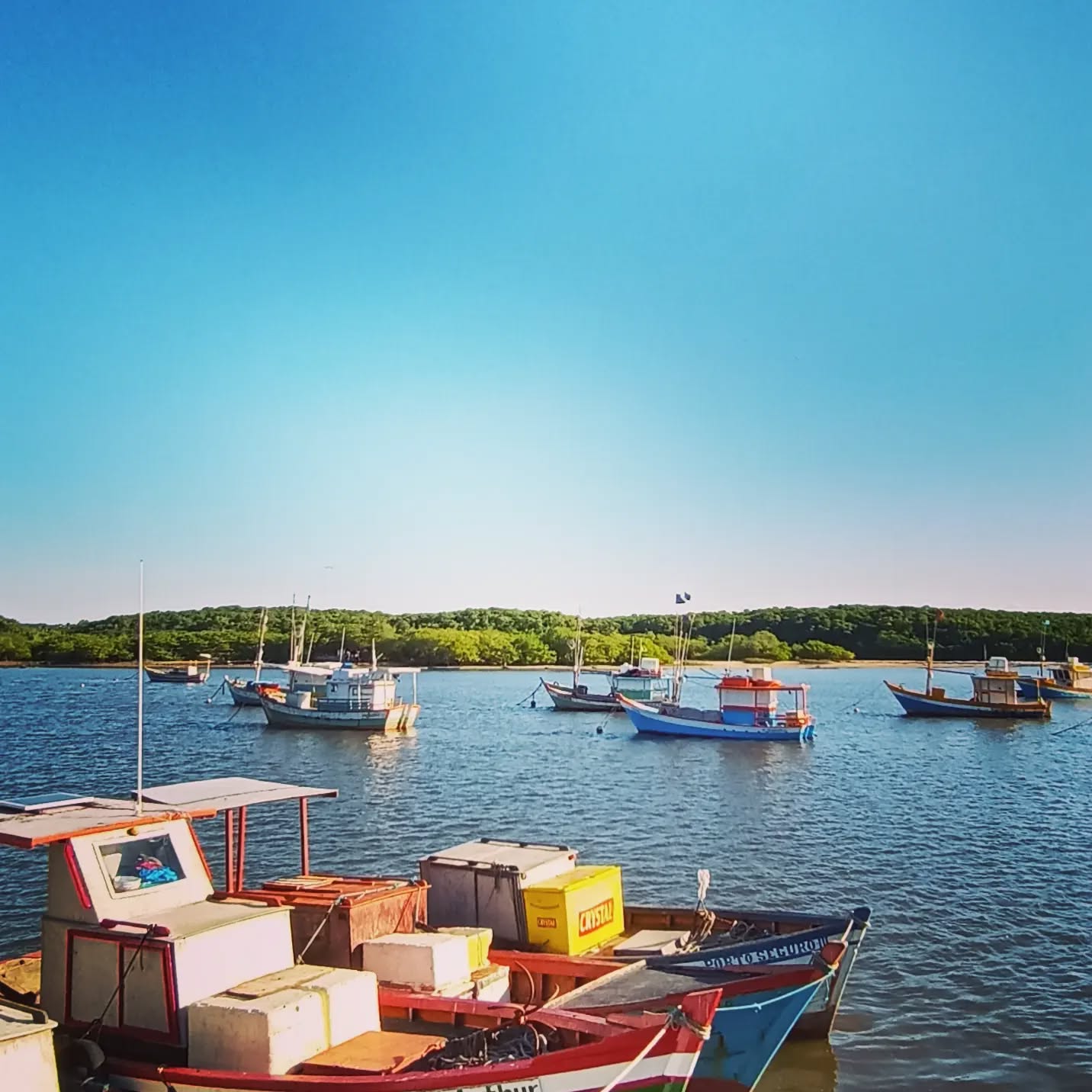 Cada canto com sua beleza.
Tarifa de Porto Seguro.
#transferarraial
#transferportoseguro
#transfercaraiva
#transfersatu
#transferpraiadoespelho
#transfercompartilhadocaraiva
#transfertrancoso