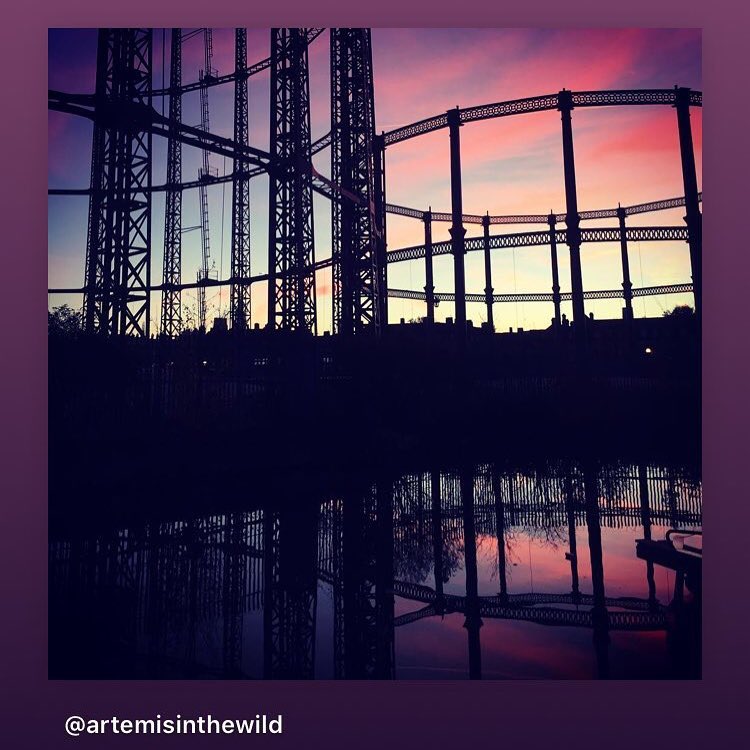 Repost from @artemisinthewild
#Reflecting on last night and the future protection/regeneration of biodiversity in the borough, following the Hackney Bioderversity Partnerships meeting with @hackneycouncil, @sustainablehackney, @hackneycityfarm @living_waterway and Hackney Swifts to name a but a few!
—-////——-
Are you coming to our next Green/blue Infrastructure planning meeting on Nov 26th to discuss where we go from here?
All are welcome. Check our website for more details.
#regenerate #biodiversity
#sky#sunset #regentscanal #riverlea #shepardsdelight #pink #parklife #protectswifts