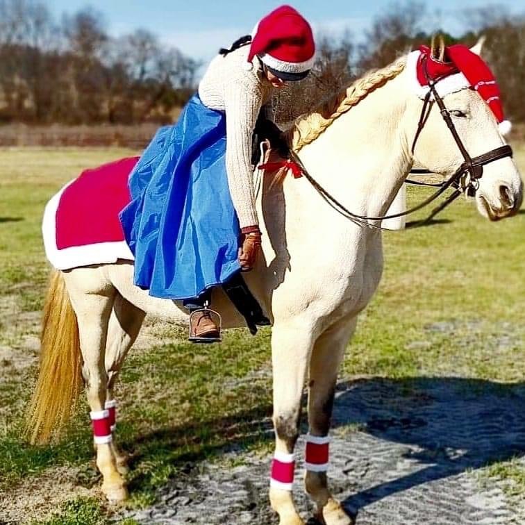 Merry Christmas to all our clients, old and new! Wishing you a happy new year too🎉🎉
Thank you Megan for the Christmas picture😍
#transcendbitlessbridle #doublebitlessbridle #simplesidecue #bitless #freedom #connection #superiorquality #englishleather #equine #horse #pony #bespoke #naturalhorsemanship #equestrian #baroque #horseaddict #equality #tack #biothane #photography #glowup #natural #horsesofinstagram #showjumping #dressage
