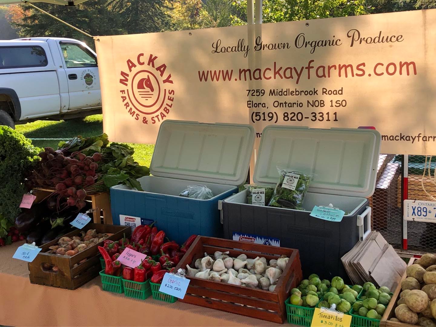 Beautiful day at the Elora Market! Rhonda is there anything in the wrong spot?