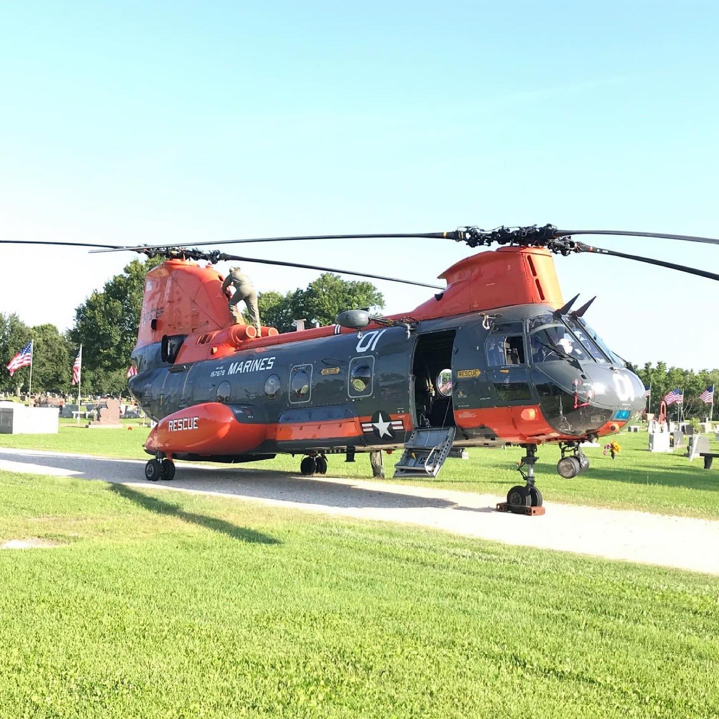 Pedro on display today at White Cemetery.