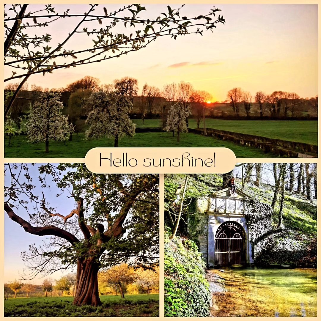 🌸 E N J O Y S P R I N G 🌸 @ Mille Fleurs Apartments 🌸💕
Wil je ook wakker worden met de zon, de bloesem en een heerlijk uitzicht op al dit moois? Boek dan een van onze appartementen op www.millefleurs.be 🤗
Voor aanstaand zonnige weekend nog appartementen vrij!☀️
#voerstreek #springisintheair #millefleursapartments
#whataview #beautifullandscape #naturelover #natuur #voeren #limburg #wandelen #hiking #appartementhuren #vakantiehuis #vacation #rent #apartment #rentapartment #vlaanderenvakantieland #ilovelimburg #vakantieineigenland #sintpietersvoeren #altijdlimburg #belgium #visitlimburg #wanderlust #bronnenwandeling #wandelparadijs