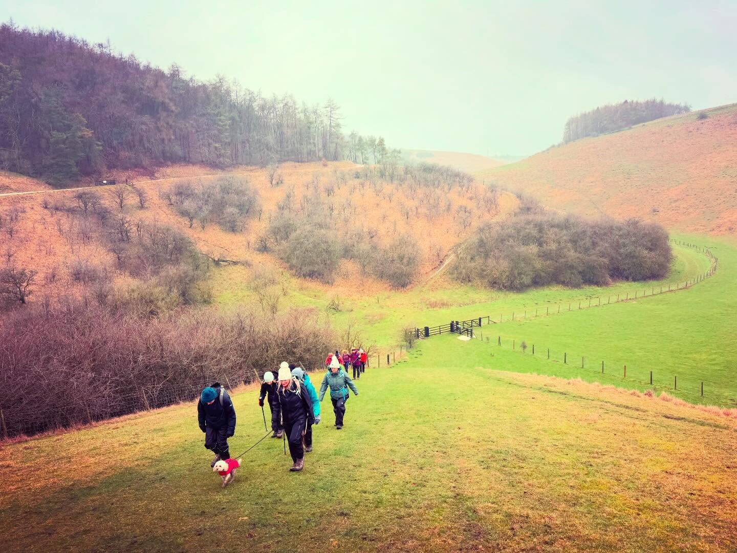 What a gorgeous 3 days back out leading and teaching — it’s been so lovely to see so many of you again 🥾
Grey skies or not, there’s nothing better than fresh air and getting outside… we embrace all the conditions here at YTO!
This Sunday we still have spaces available and it’s my last weekend walk until March — so if you fancy a winter wander, I’d love to see you there 🧡
https://www.yorkietalkies.co.uk/event-details/february-sunday-walk-spofforth-and-wetherby-10-miles-16km
#getoutside #YTO #guidedwalks #walking
