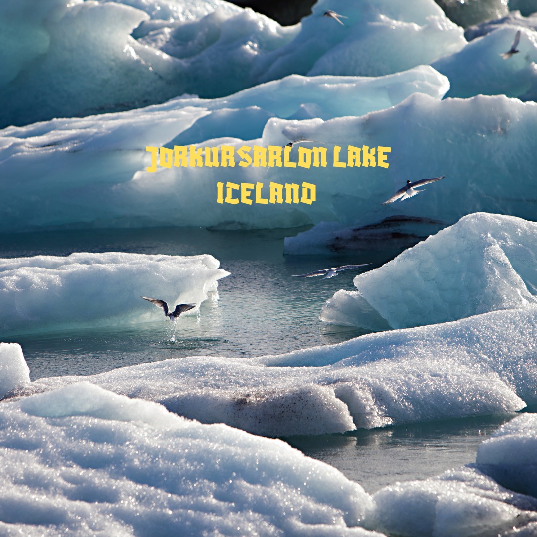 Jökulsárlón is a breathtaking glacial lagoon in southeastern Iceland.
It formed as the mighty Breiðamerkurjökull glacier, an outlet of Europe’s largest ice cap, Vatnajökull, slowly retreated over the last century.
What remains is a deep, ever-growing lake of icy ❄️💦 water.
Its surface is scattered with massive icebergs that have calved from the glacier and drift gently toward the sea.
Some glow in striking shades of blue 🌊 and white as they rise and fall with the tide.
The scene feels constantly in motion, yet perfectly calm.
Easily reached right off Iceland’s Ring Road, this lagoon is one of the country’s most iconic natural sights.
Visitors often spot seals 🦭 playing among the ice and capture 📸 photos of surreal, sculpted ice formations.
Just steps away lies the famous Diamond Beach.
Here, chunks of glacier ice sparkle like jewels against black volcanic sand.
Raw and mesmerizing!
Want to add this Icelandic magic to your bucket list?
#jokulsarlon
#iceland
#europe
#arctic
#wintercruise
#luxurytravel
#enchantedwanderingstravel
#travelconcierge
#tourplanner
