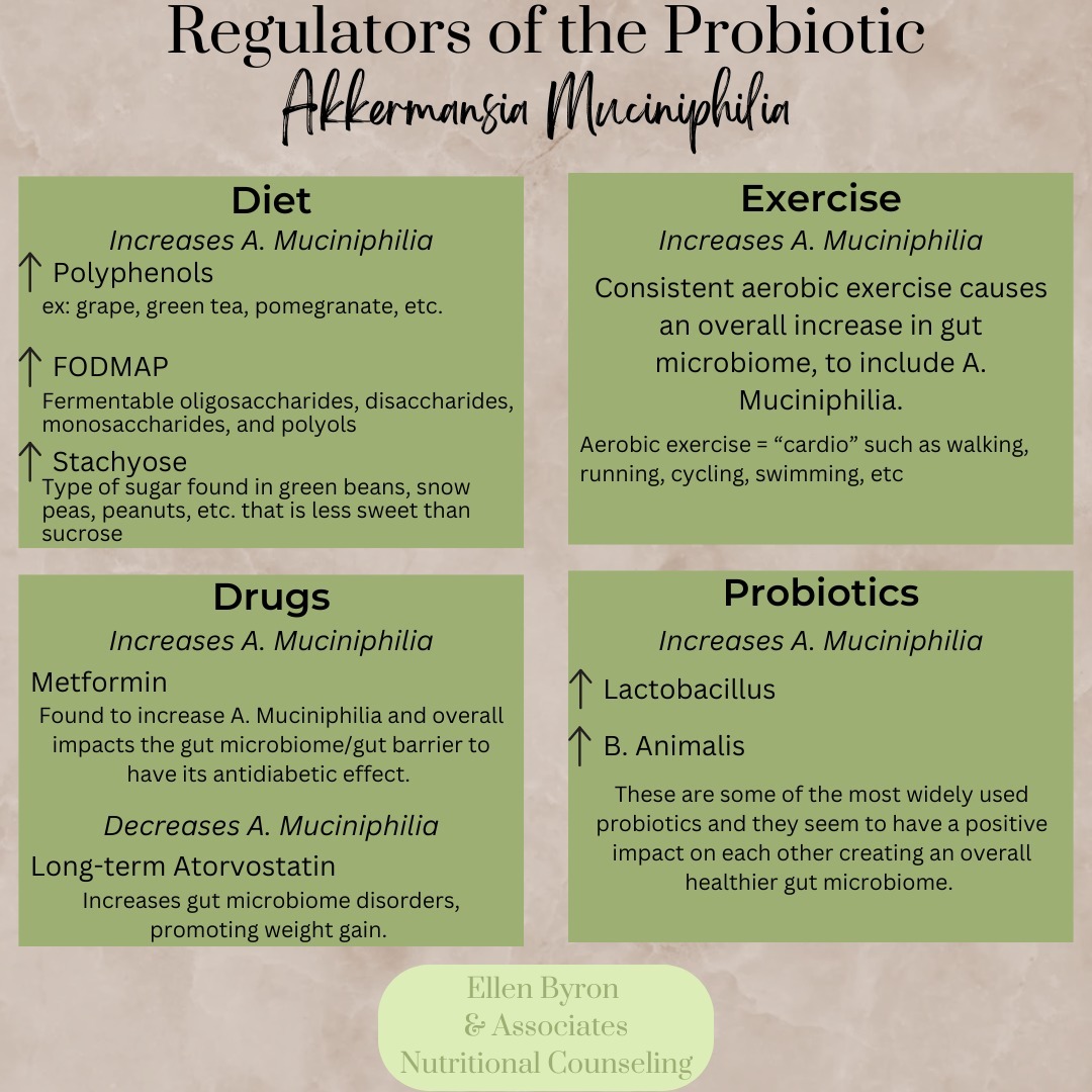 Many things impact the gut microbiome, such as antibiotics which are designed to help in sickness, however they aren't targeted specifically to the "bad" bacteria, they take out the "good" bacteria in the gut microbiome as well.
Some ways to improve the abundance of akkermansia muciniphilia and your overall gut microbiome health, are through diet, exercise, and variety of probiotics. It can be helpful to look at other medications that impact the microbiome as well and see if there are other options or lifestyle modifications that can help reduce the interactions (**Medications should not be stopped or changed without the consultation of a doctor).
-
#dietitian #probiotics #akkermansiamuciniphila #amucinipila #gutmicrobiome #gutmicrobiota #healthylifestyle