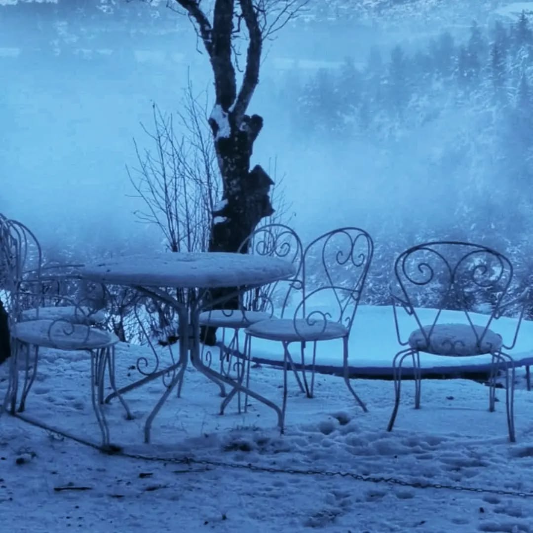 Le 13 janvier, lune noire passée. Promesse de l'année à venir. Sous ces embruns d'hiver, l'attente du printemps palpable dans nos songes, au bout des doigts la renaissance. L'éclosion des fleurs dormantes, un souffle, à peine, un murmure.
#naturelove #simplelife #souffledantan #laNeige #montagneardechoise #auclairdelasource #Lanarce