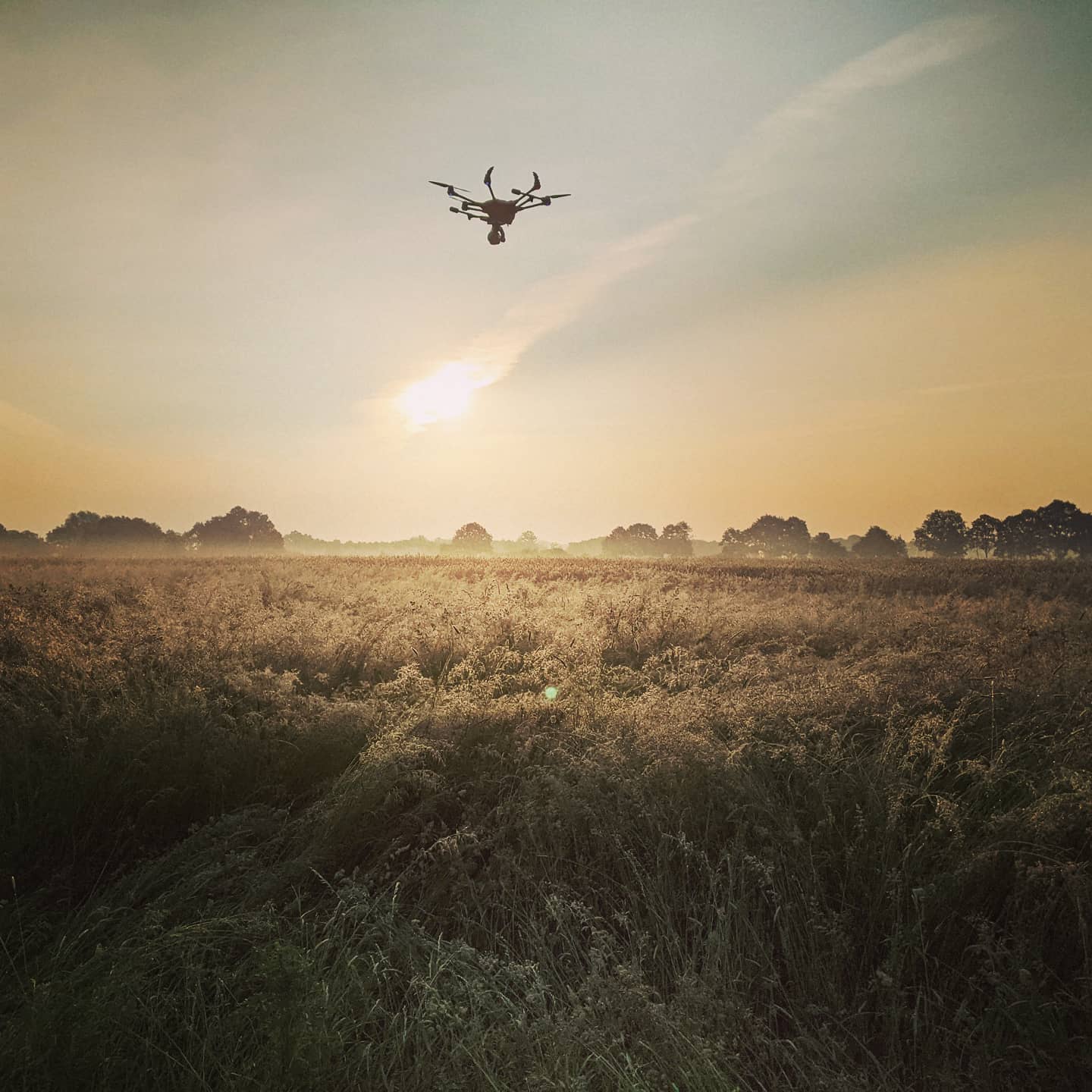 Ein kleines Lebenszeichen von uns... 🤗 Wir haben nicht etwa den Betrieb eingestellt, aber auf unseren Social Media-Kanälen ist aktuell nicht viel neues weil wir einfach seit Tagen durchgehend im Einsatz sind. Wir geben unser Bestes, um die zahlreichen Anfragen bedienen zu können. Vielen Dank an alle Landwirte und Jäger, die uns kontaktieren und vertrauen! 😊 Es werden immer mehr und wir arbeiten im Hintergrund daran, nächstes Jahr noch mehr Kapazitäten bieten zu können. Mehr dazu in Kürze. 😊
Bis dahin eine kleine Zwischenstatistik unserer mittlerweile 7 Teams aus der Region Hannover:
✌️14 Einsatztage
✌️812 Hektar Fläche abgesucht
✌️89 Kitze gefunden
Netzwerk Rehkitzrettung Region Hannover e.V.i.G.
www.rehkitzrettung-hannover.de
#rehkitzrettung2021 #rehkitzrettunghannover #hannover #regionhannover #tierschutz #tierschutzverein #isernhagen #langenhagen #wedemark #natur #rehkitz #tierrettung #wildtierrettung