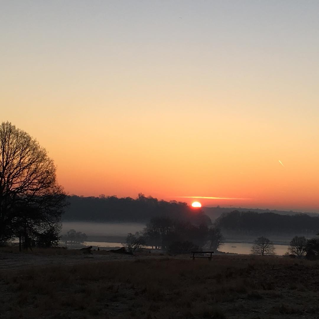 Beautiful sunrise this morning 😍#whyirun #sunrise #nofilter