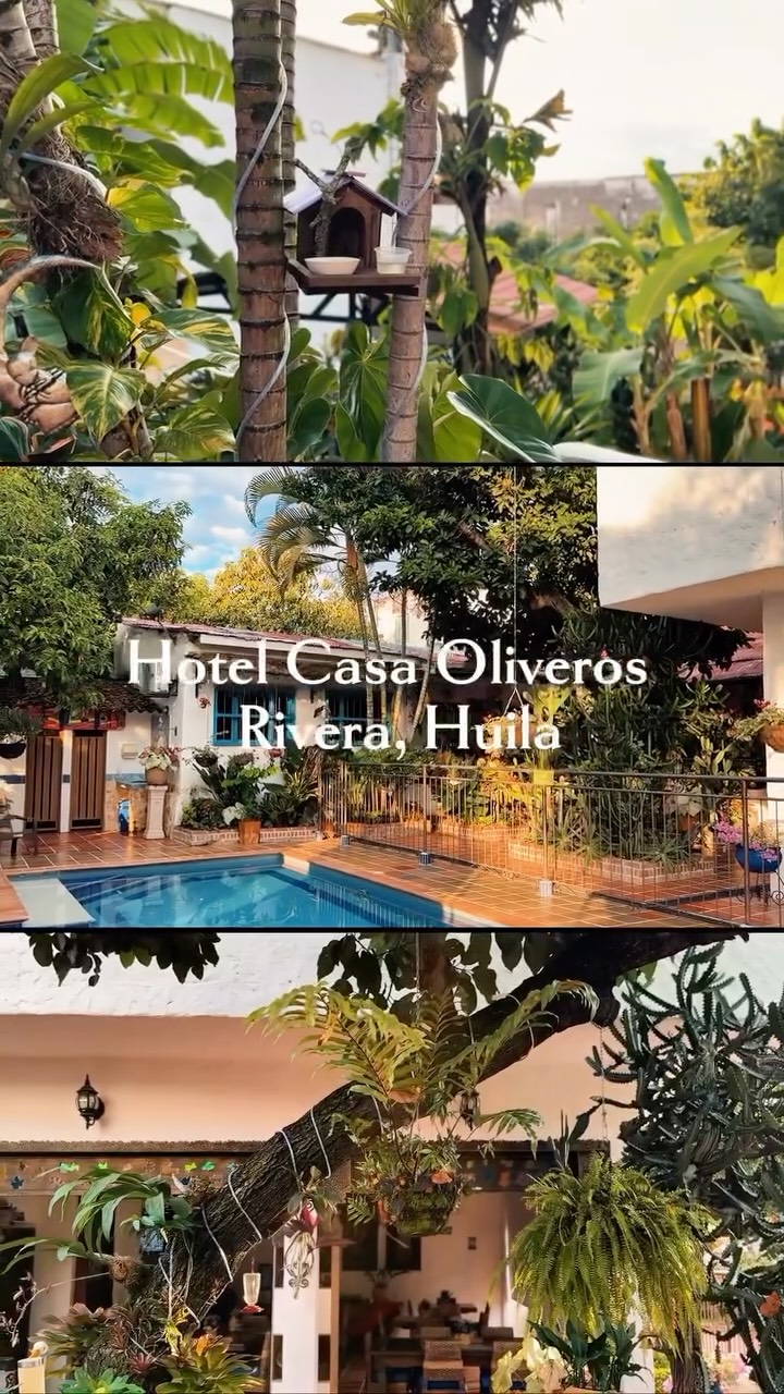 Que el primer plan del año seas tú🌺
El lujo del año: descansar sin prisa 🍁✨
.
.
.
#slowtravel #huila #escapadaperfecta #colombiatravellers #riverahuila