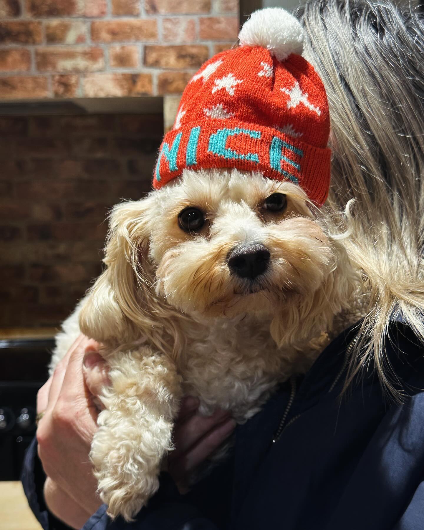 Christmas closure reminder 20th December - 8th January