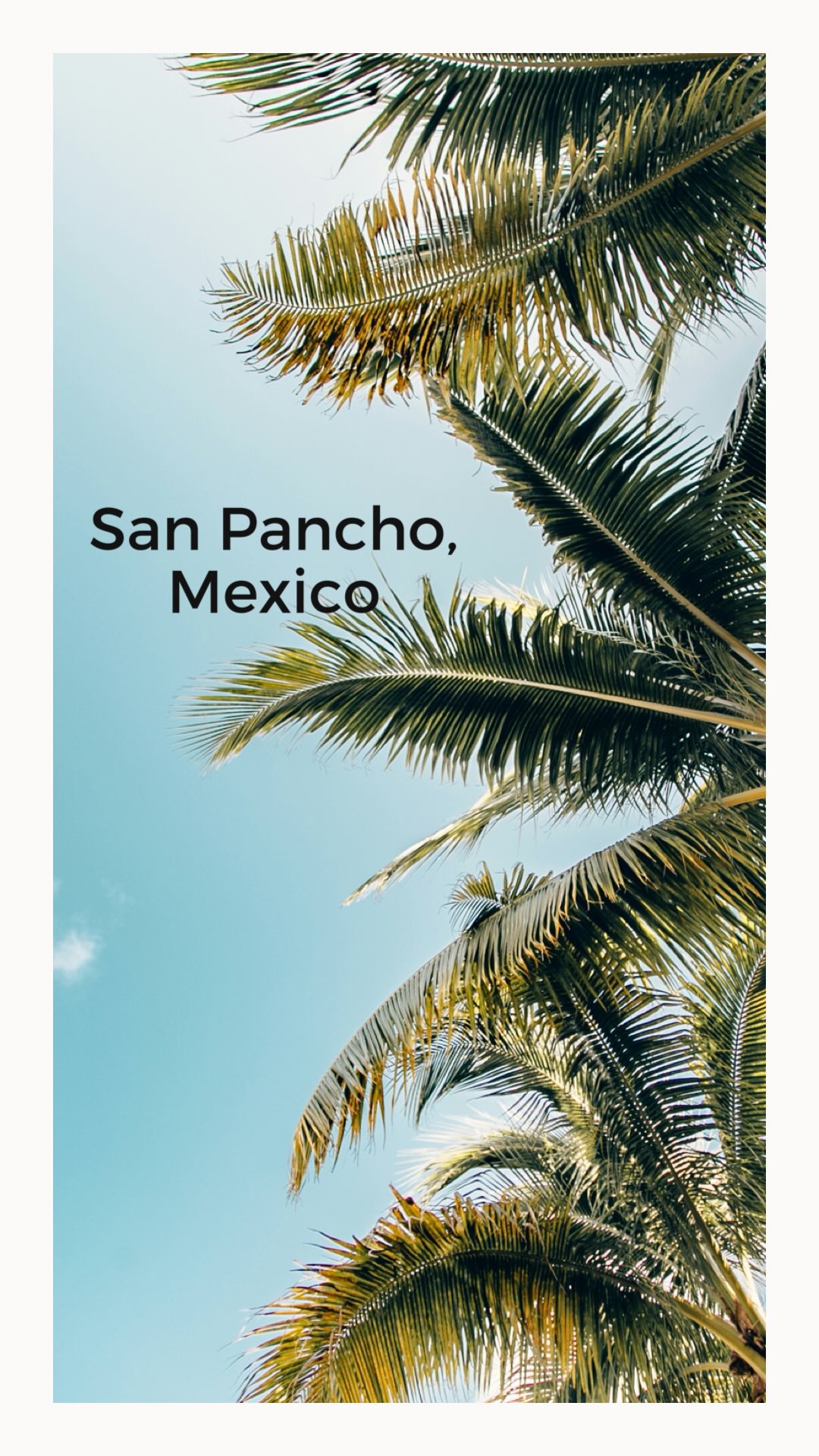 Welcome to San Pancho 🏝️🐓☀️—a cute, boho-chic surf town with endless tacos, tequila, and sunsets.
We got the luxury stay at @quintaseis in the heart of San Pancho. Kick off your shoes, dip in the plunge pool, and take in all the views of the mountains, palm trees, and sunrises. This house fits 12+ people with huge king-size beds, beautiful showers, AC, and amazing rooftop seating. We could not have asked for a better stay.
In San Pancho, we had life-changing lobster tacos, amazing tequila, green juices, and coffee lattes. Where did this town come from? The community was extremely kind, welcoming, and so fun! Live music—great music—every night. We were able to walk to the beach from our casa, where we watched whales 🐋, surfers 🏄♀️, and dreamy sunsets 🌅 . Not to mention the secret beaches—our absolute favorite day.
Retreat girls? Definitely check out @quintaseis to book your next intimate retreat. Magic! Can’t wait to go back! 💫
#SanPancho
#BohoTravel
#SurfTownVibes
#RetreatLife
#sanpanchomexico
