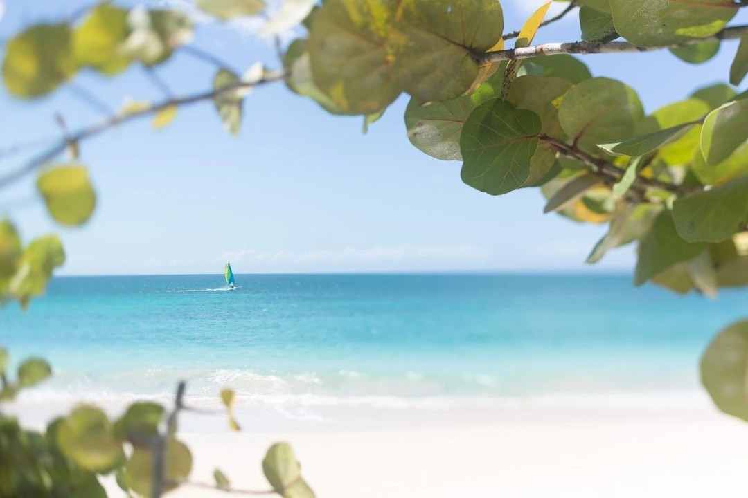 Winter Escapes ..Your Holidays in Autumn & Winter 24/25
Escape the winter blues and embrace the warmth of tropical destinations. Autumn and winter offer a perfect opportunity for sun-filled getaways, with pleasant temperatures and fewer crowds.
#caribbeansea #caribbean #caribbeanlife #islandlife #travel #beach #caribbeanvibes #paradise #caribbeantravel #vacation #islandvibes #sea #caribbeanislands #dominicanrepublic #caribbeanvacation #mexico #beachlife #caribe #sunset #tropical #holiday #sailing