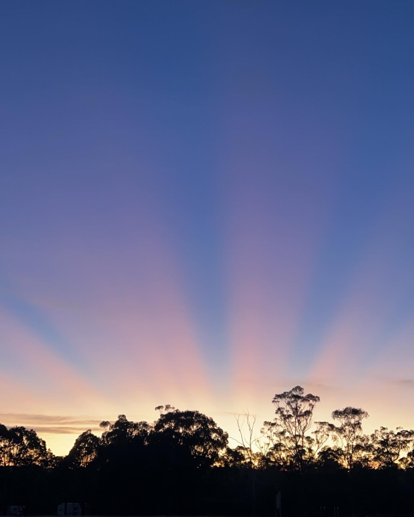 Good morning from paradise ☀️