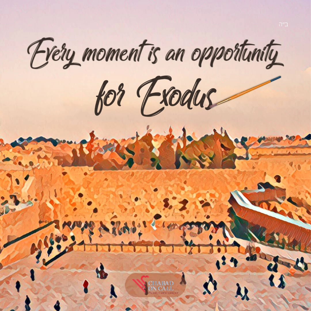 In each of us there is an Egypt, a Pharaoh, a Moses, and a Holy Land.
Egypt is the entanglements that bind us to our current state, its quicksand and chains keeping us from growth.
Pharaoh is the voice in our ear telling us that we cannot reach healing or freedom, simply because we haven't before.
Moses is our inner strength that encourages us to move forward, one step at a time.
And the Holy Land is what we reach when we break free from Egypt, silence Pharaoh, and follow Moses.
Every moment is another opportunity for our Exodus.
May we soon experience the ultimate healing and liberation with the coming of Moshiach, and celebrate the Seder together with our brothers and sisters in the Holy Land.
Wishing you a kosher and joyous #Passover !