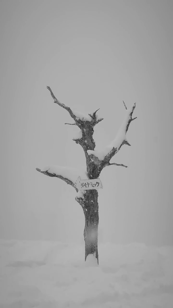 We are the universe experiencing itself through infinite points of view. - Alan Watts
Moments in the snow globe @iwanairesort .