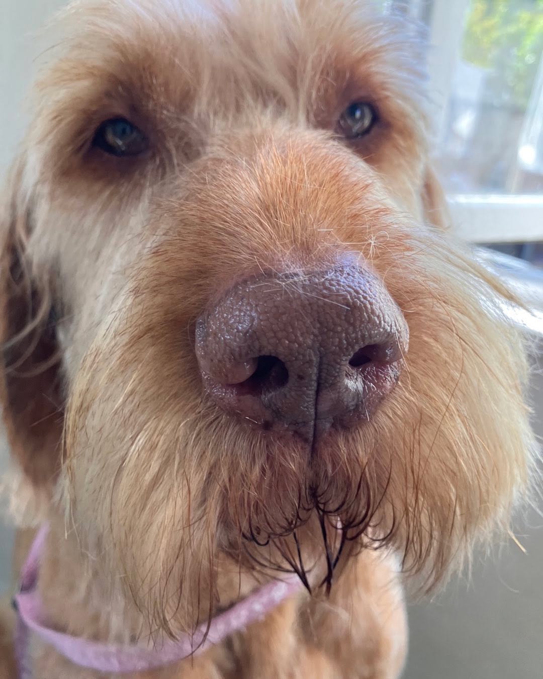 Everybody needs a Walter ♥️