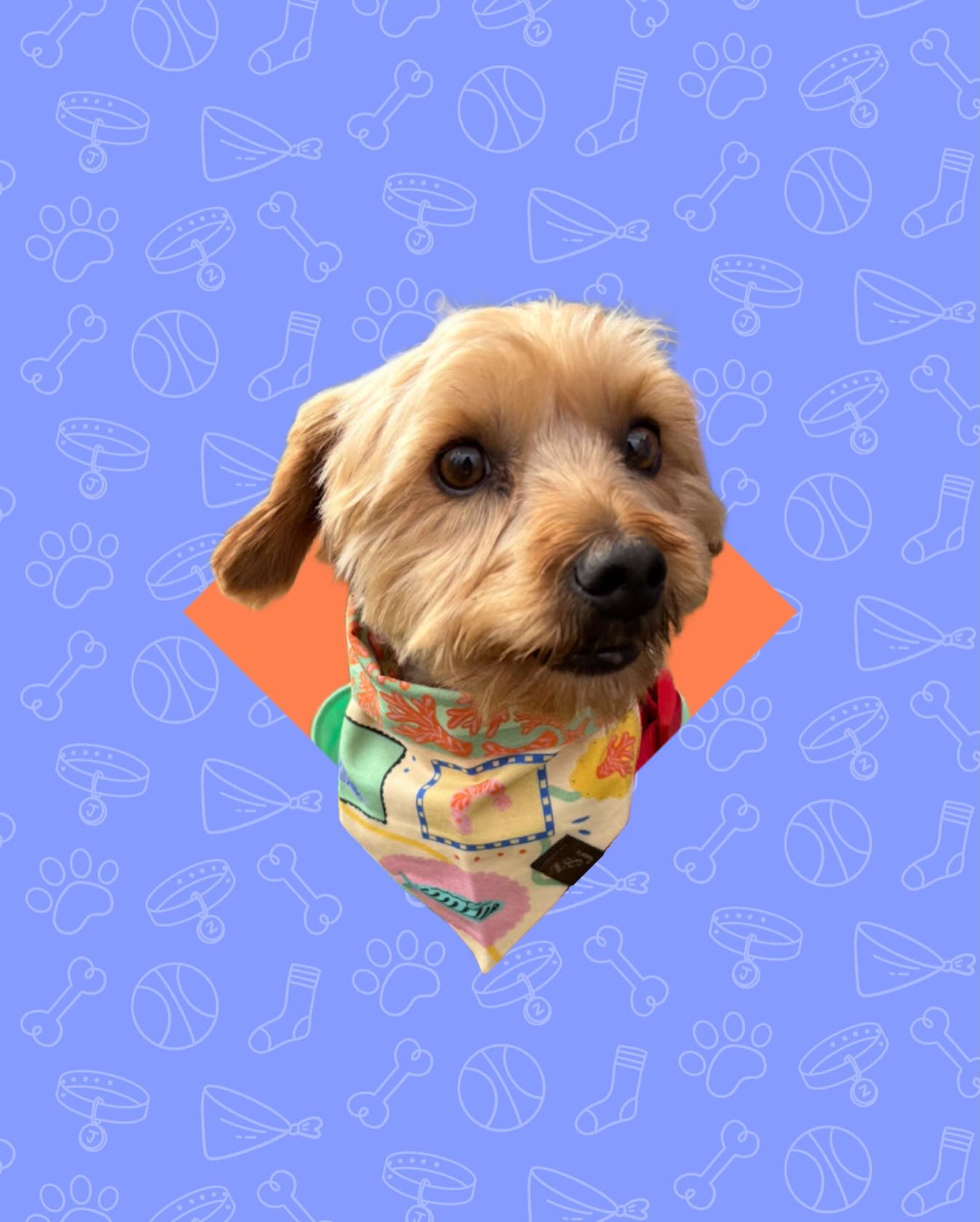 who is dreaming of sun right about now? 🌞🙋♀️