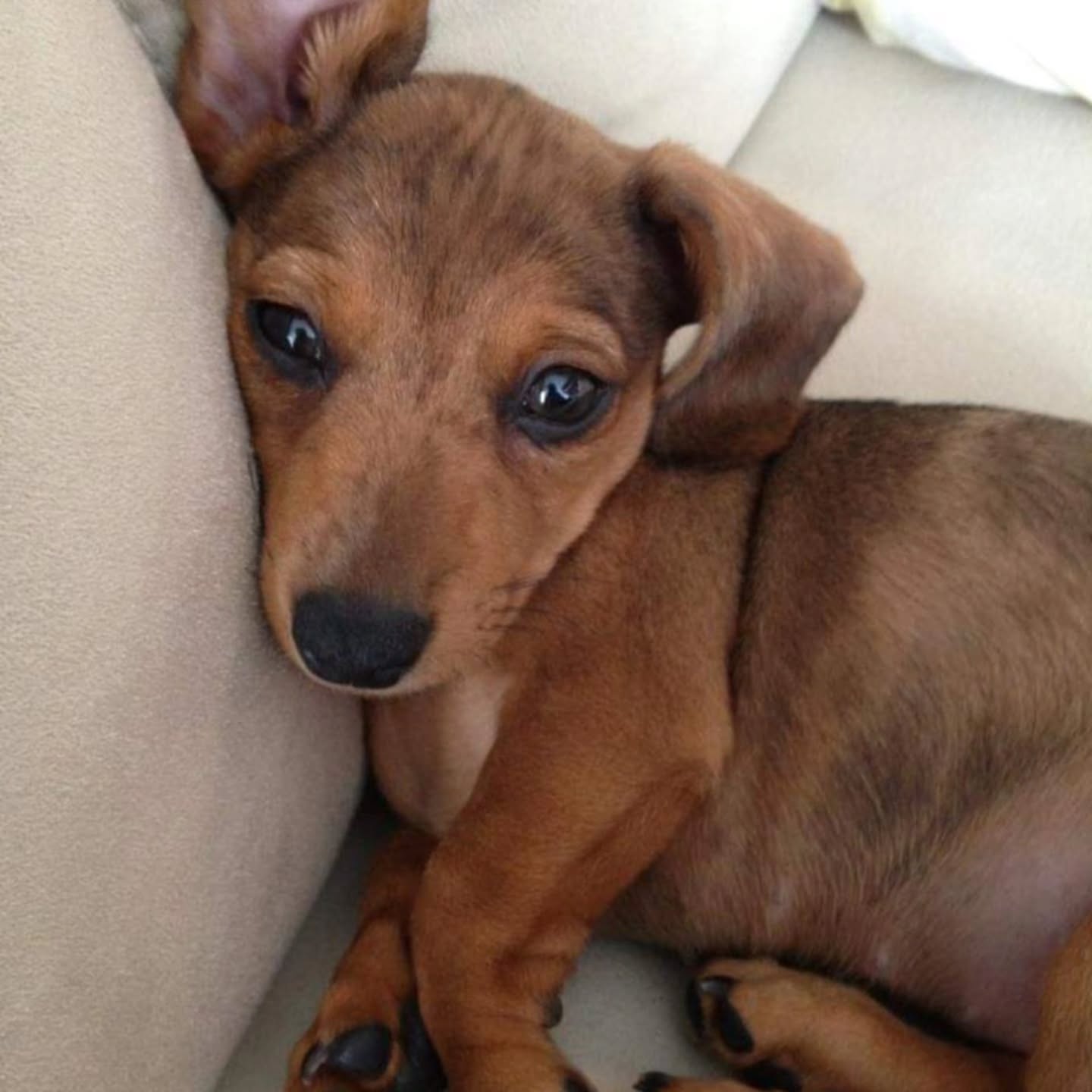 Happy 14th birthday to my 'Baby Muffin' and 'Silly Goose'! ❤️❤️❤️