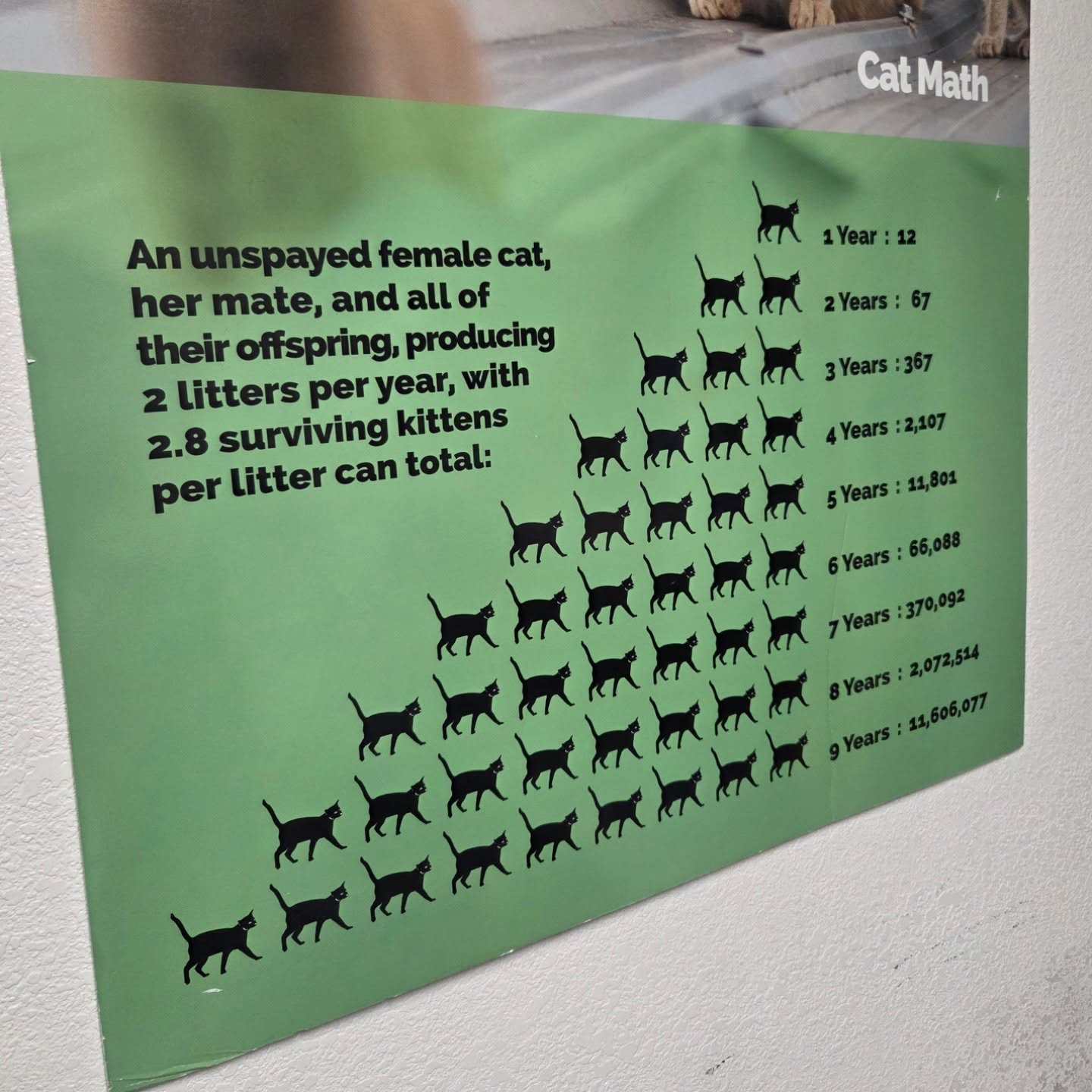 OMG, did y'all just see that?! 🐶🐱 It's seriously a game-changer when it comes to pet overpopulation. Spaying and neutering our furry friends helps prevent death and suffering. Thank you @forgottenfelines_sonomacounty for the work you do! Let's all do our part to spread the word and get more pets fixed. 💖 #SpayAndNeuter #PetAdoption #ResponsiblePetOwnership