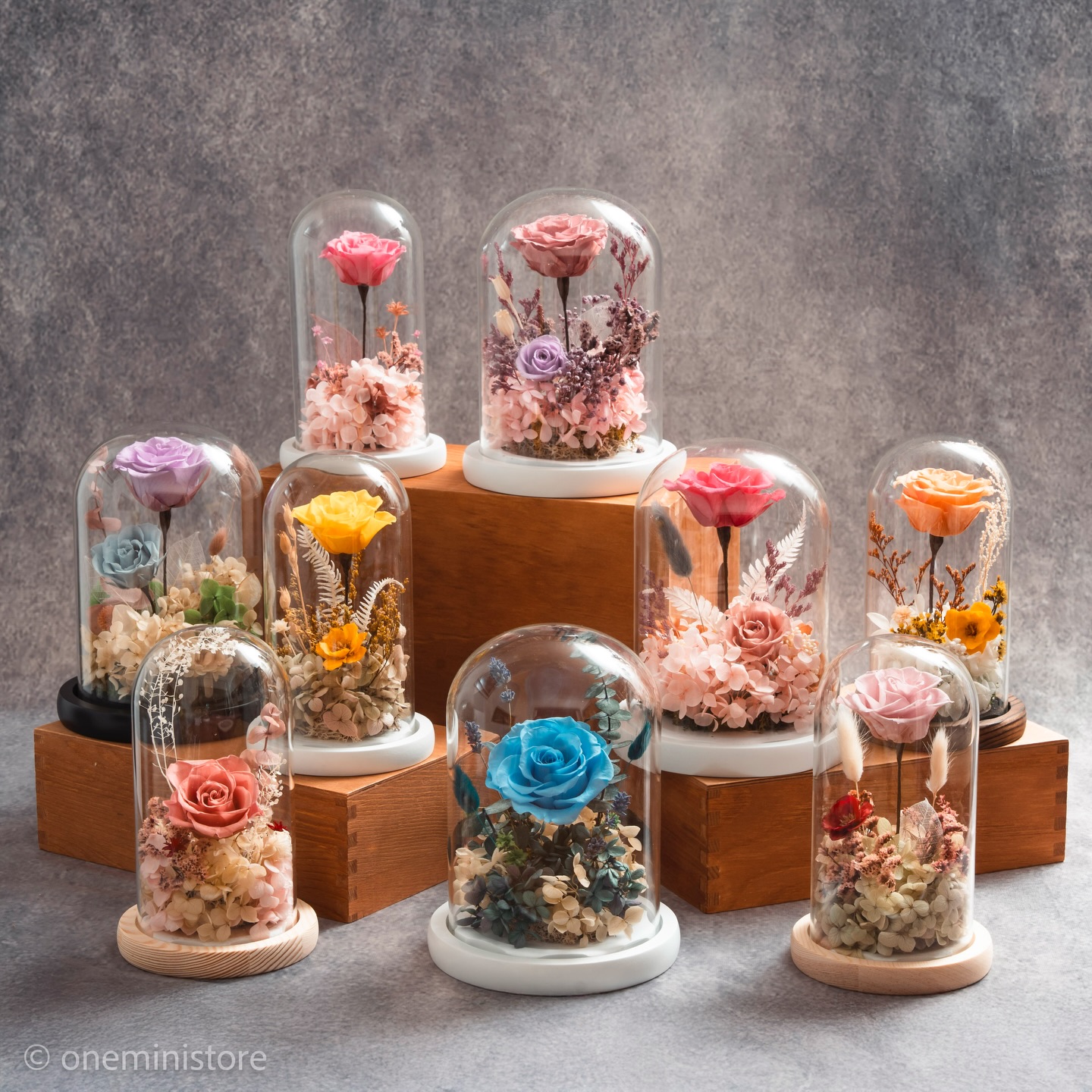 ✨𝐍𝐞𝐰 𝐀𝐫𝐫𝐢𝐯𝐚𝐥𝐬: 𝐏𝐫𝐞𝐬𝐞𝐫𝐯𝐞𝐝 𝐅𝐥𝐨𝐰𝐞𝐫 𝐀𝐫𝐭 🌹
At 𝗼𝗻𝗲𝗺𝗶𝗻𝗶𝘀𝘁𝗼𝗿𝗲, we create preserved flower art that captures time in its most beautiful form.
As we step into a new beginning in 2026, we are proud to present our latest prestige grade creation.
Each preserved rose is sourced from Japan and originally in a closed bud form. Through careful techniques and many hours of work, every flower is slowly opened by hand until it blooms beautifully. Each piece takes patience, skill, and quiet dedication, and no two designs are ever the same, because your loved one deserves something truly special.
Our style remains what we love most: modern and clean, with soft smoky tones, gentle layers, and sometimes a deeper, darker mood. This is our interpretation of Korean floral art, calm, balanced, and full of feeling.
We hope these pieces can accompany your meaningful moments, whether it is love, gratitude, or a fresh start.
Valentine’s Day is approaching, and these creations are made to be treasured.
You may view them in person this Saturday at the Craft and Flea Market. @thecraftandflea
Orders will be available through Instagram message after Saturday. Custom made designs are always welcome. More details will be shared online very soon.
Thank you for being here with us and for supporting our floral journey 🤍
Photography by @one_potato_by_yoshi
#oneministore #preservedflowerart #japaneseroses #giftidea #valentinesday