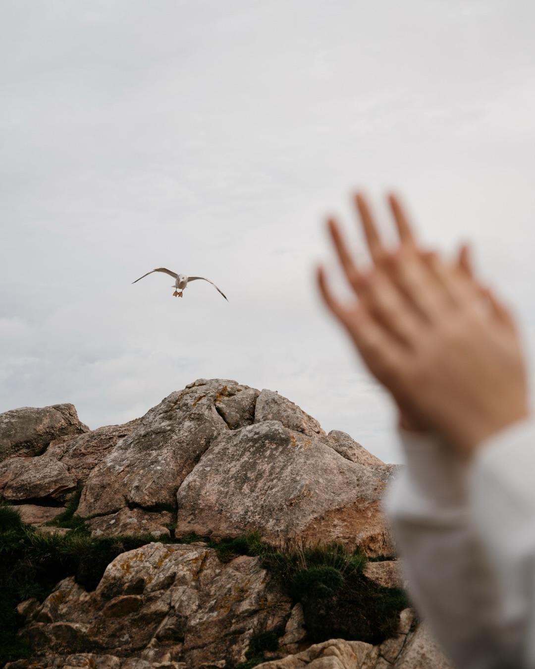 Je connais cet endroit par cœur et pourtant, à chaque fois que j’y retourne la lumière n’est jamais la même, la mer n’est jamais à la même place et le vent change toujours l’ambiance.
Le ciel bouge et les nuages dessinent en permanence un nouveau décor, et rien ne se répète vraiment
#wildsouls #photographemariagebretagne #cotedegranitrose #frenchweddingphotographer #photographeperrosguirec