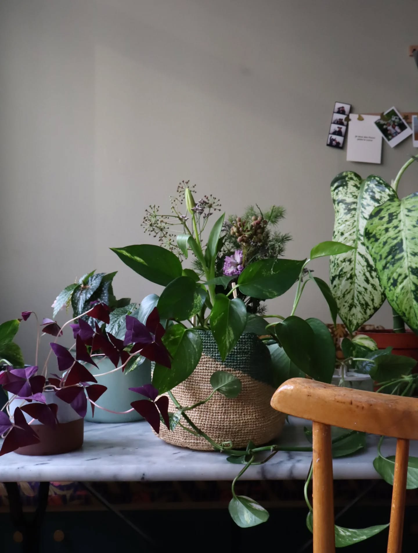 Home inspiration !
Donnez un bain à mes plantes mais en en vrai il suffirait de les mettre dehors vue la météo de ces derniers jours !
.
.
.
#inspiration #plante #love